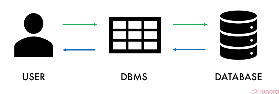 How a DBMS works?