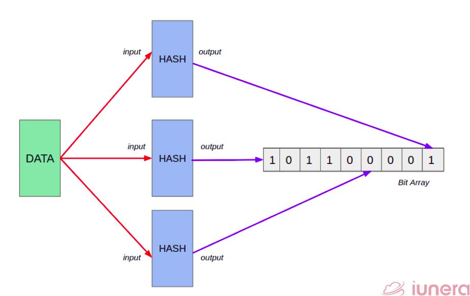 How does the data get hashed and stored in a bit array of dynamic size?