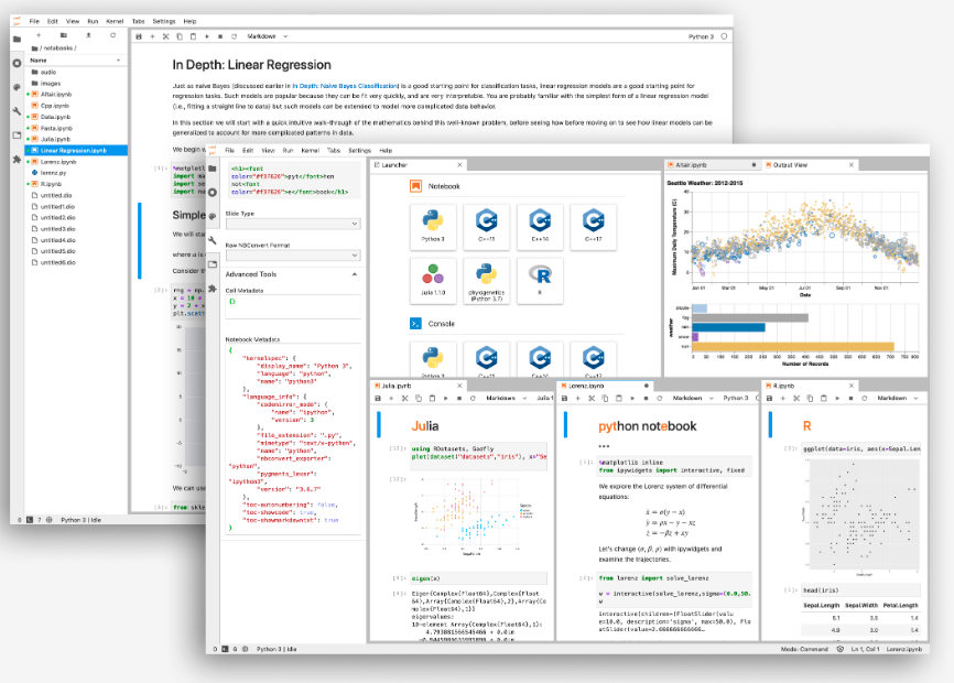 The Jupyter Notebook is a living online notebook that allows basically anyone to write up information (code, data, statistics) with narrative, multimedia, and graphs.