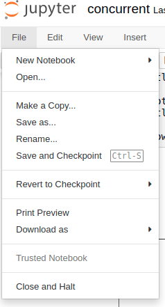 Options that are under File in Jupyter Notebook