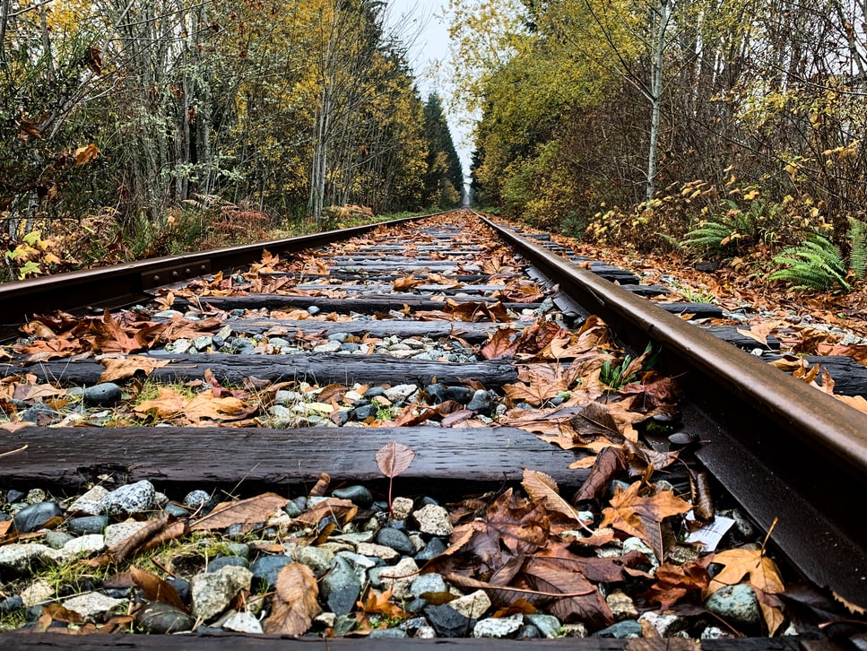 Autumn leaves on a train track.