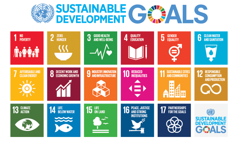 UN SDGs